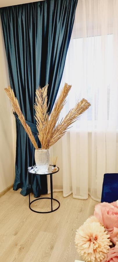 A. G. Central Apartaments Siauliai  Luaran gambar